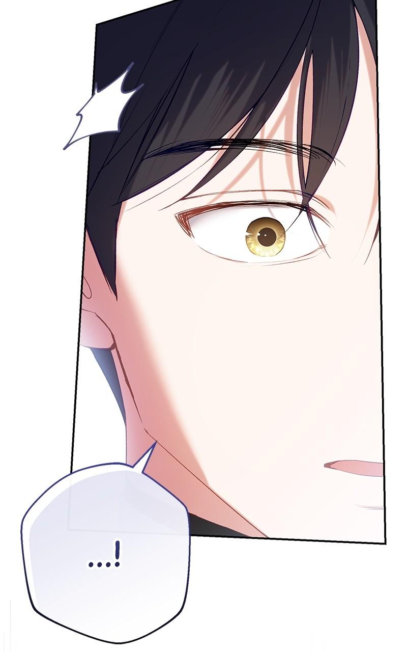 The Witch Doctor of Walpurgis Chap 23 - Next Chap 24