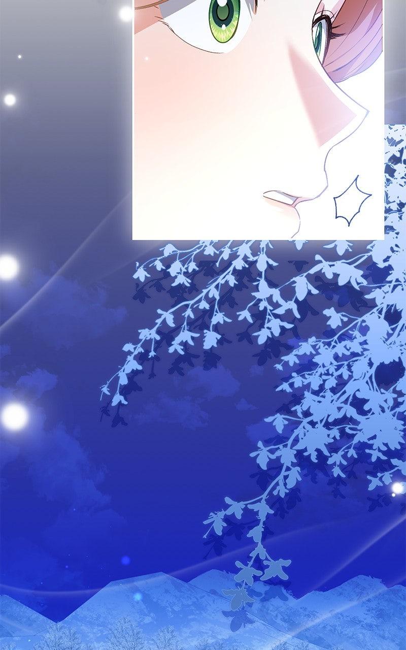 The Witch Doctor of Walpurgis Chap 34 - Next Chap 35