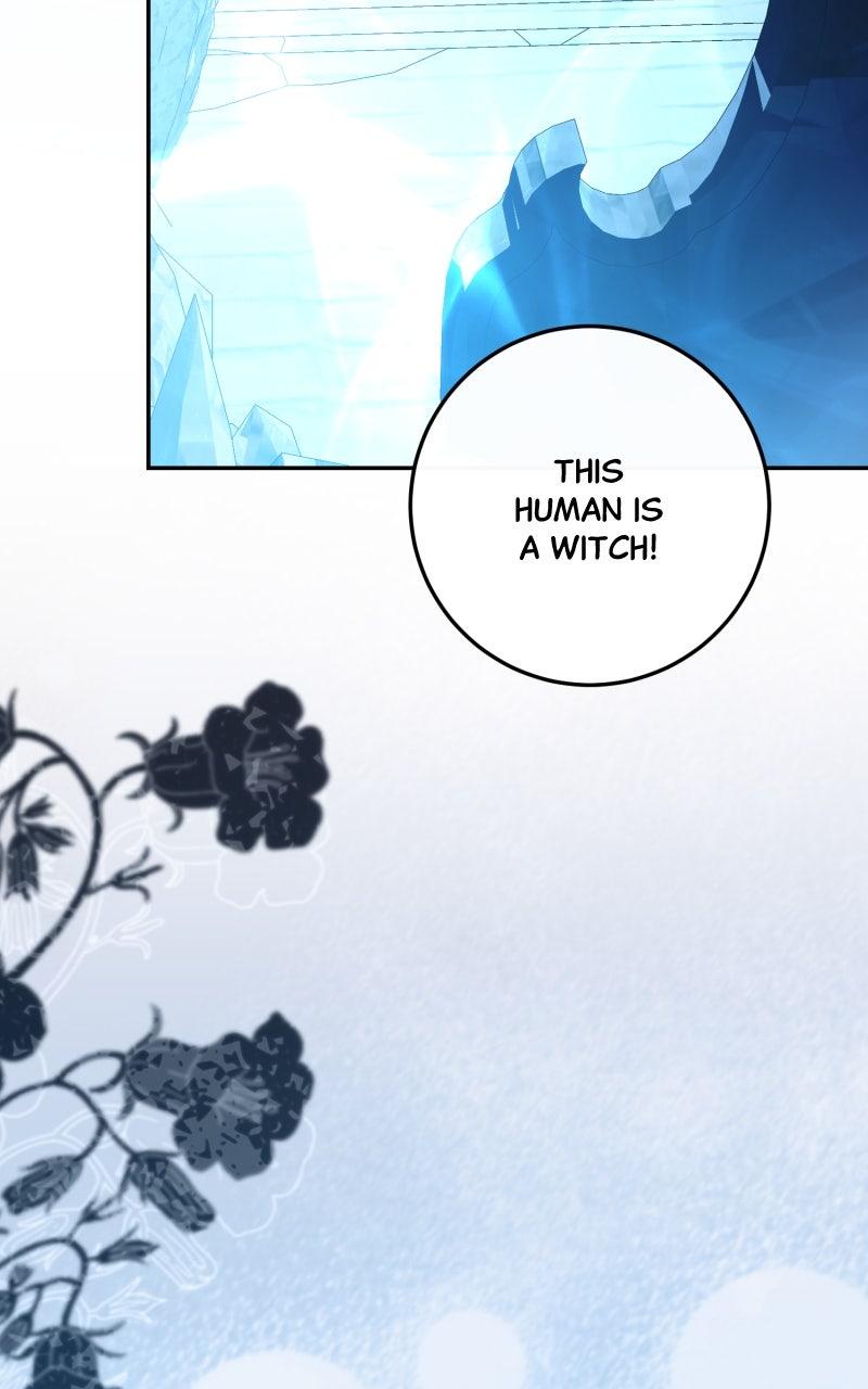 The Witch Doctor of Walpurgis Chap 36 - Next Chap 37