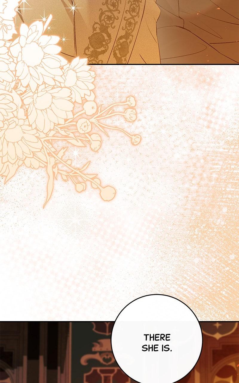 The Witch Doctor of Walpurgis Chap 38 - Next Chap 39