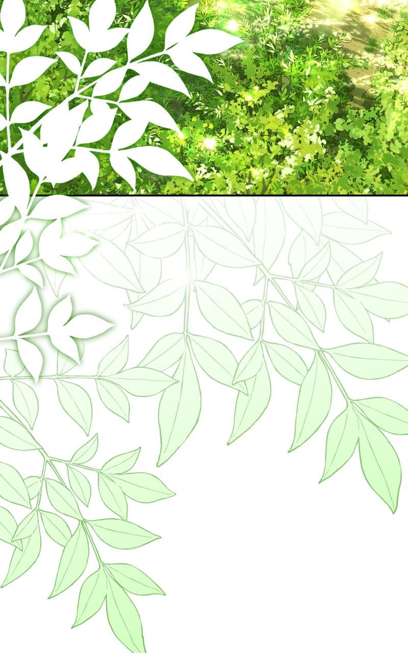 The Witch Doctor of Walpurgis Chap 31 - Next Chap 32