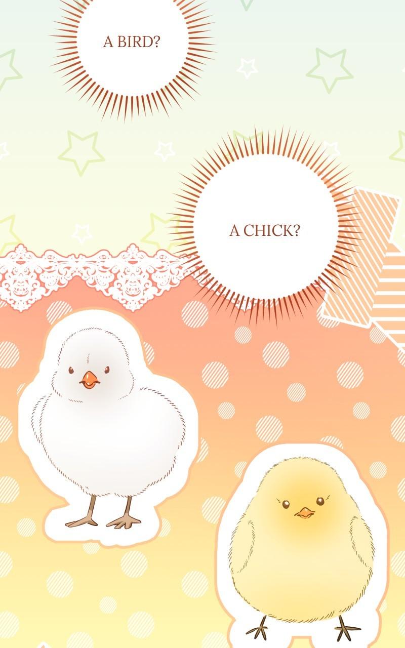 The Witch Doctor of Walpurgis Chap 31 - Next Chap 32