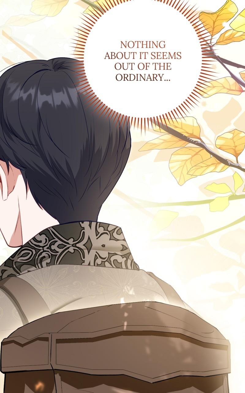 The Witch Doctor of Walpurgis Chap 31 - Next Chap 32