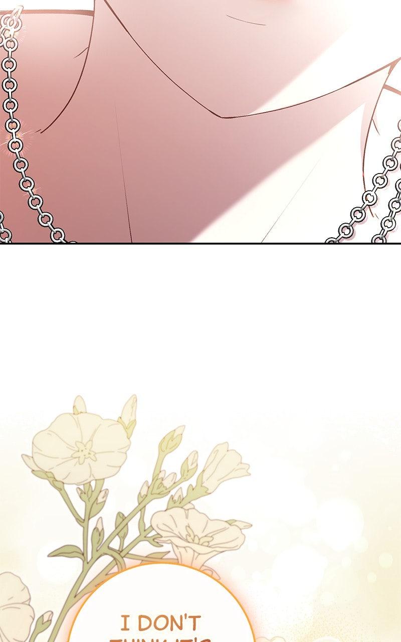 The Witch Doctor of Walpurgis Chap 44 - Next Chap 45