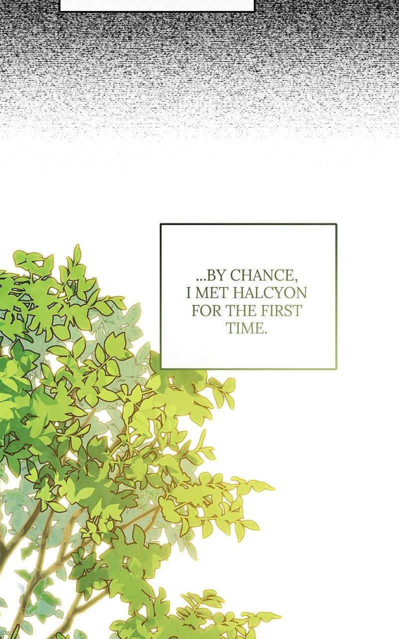 The Witch Doctor of Walpurgis Chap 45 - Next Chap 46