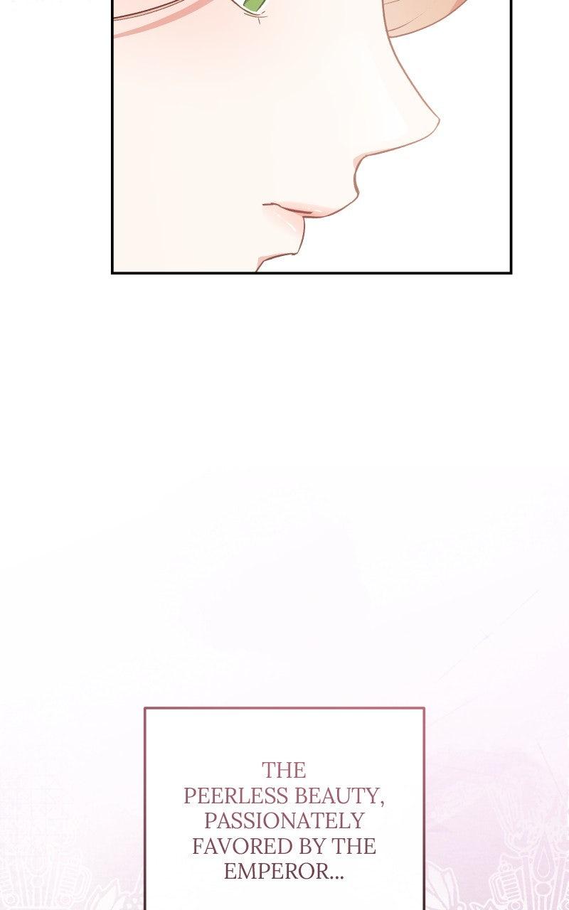 The Witch Doctor of Walpurgis Chap 46 - Next Chap 47