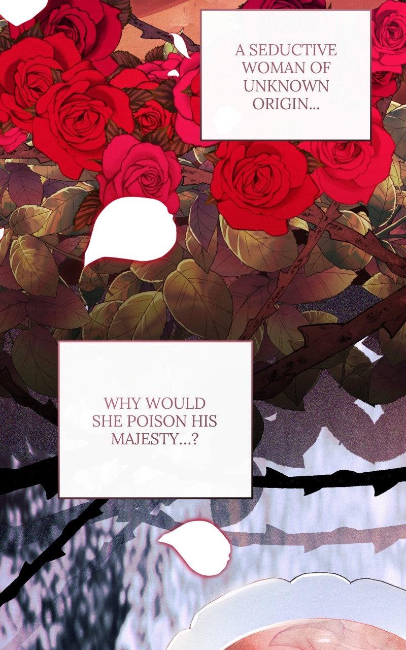 The Witch Doctor of Walpurgis Chap 46 - Next Chap 47