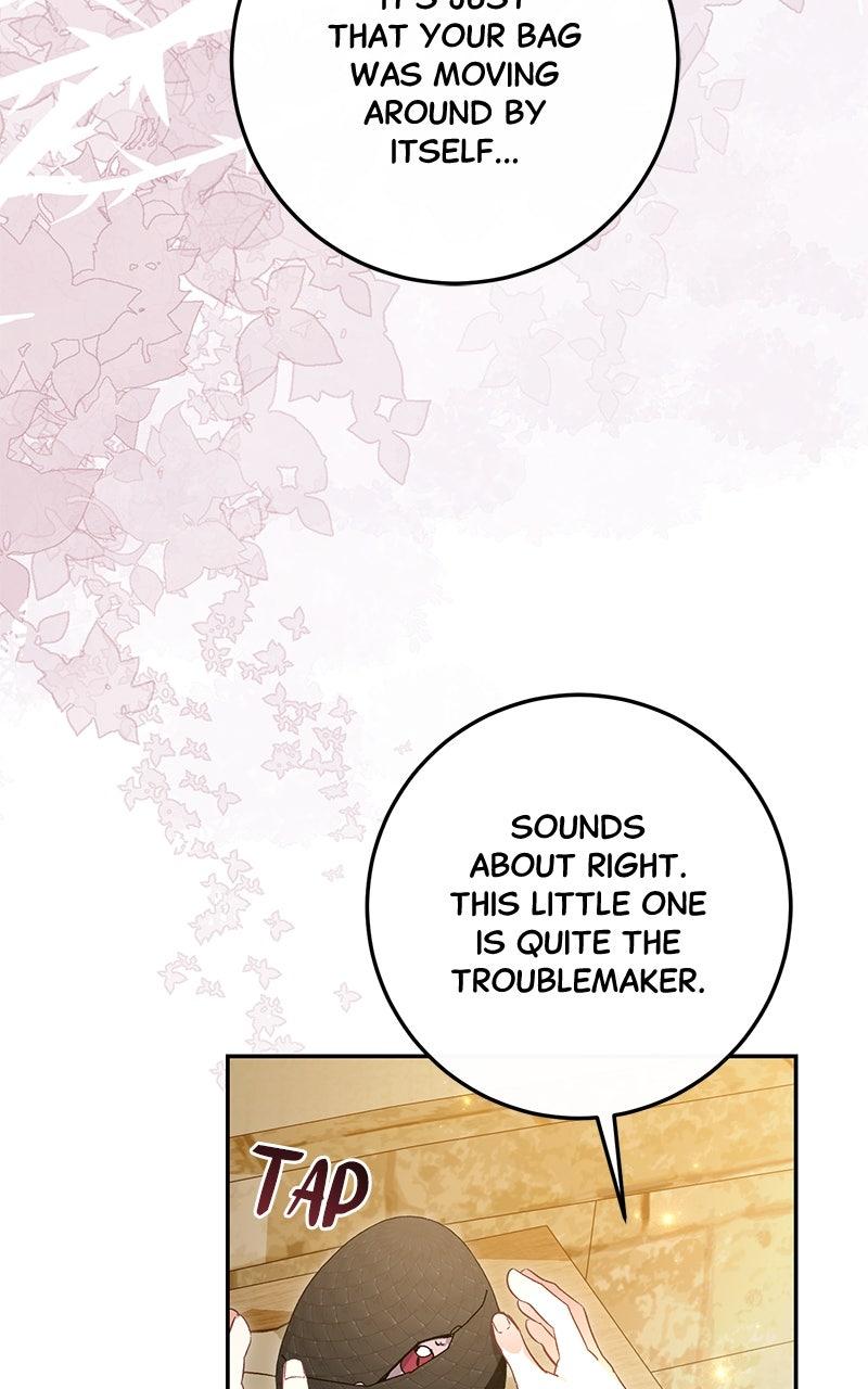 The Witch Doctor of Walpurgis Chap 40 - Next Chap 41