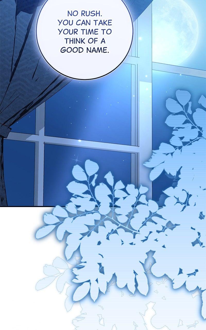 The Witch Doctor of Walpurgis Chap 43 - Next Chap 44