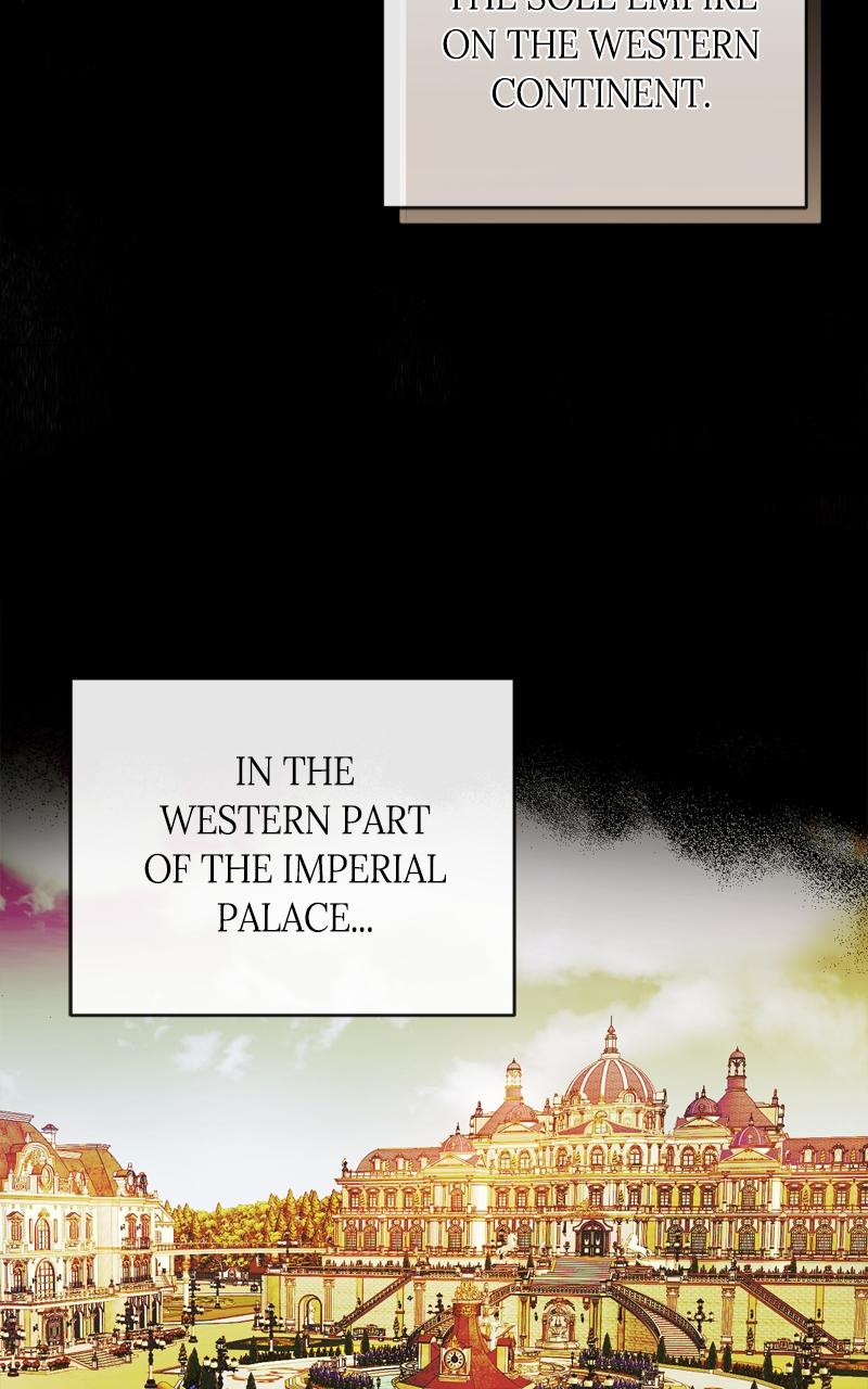 The Villainous Tyrant Has Returned Chap 2 - Next Chap 3