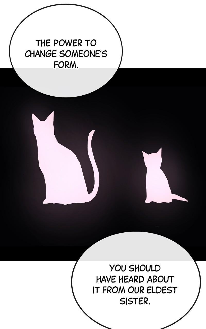 Wail of a Dragon's Rage Chap 56 - Next Chap 57