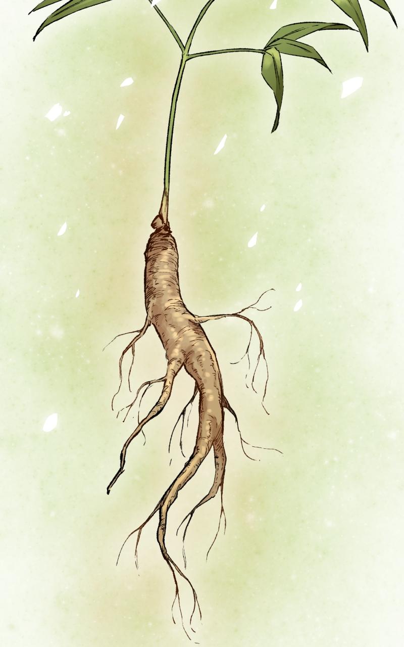 Reincarnated Murim Lord Chap 13 - Next Chap 14