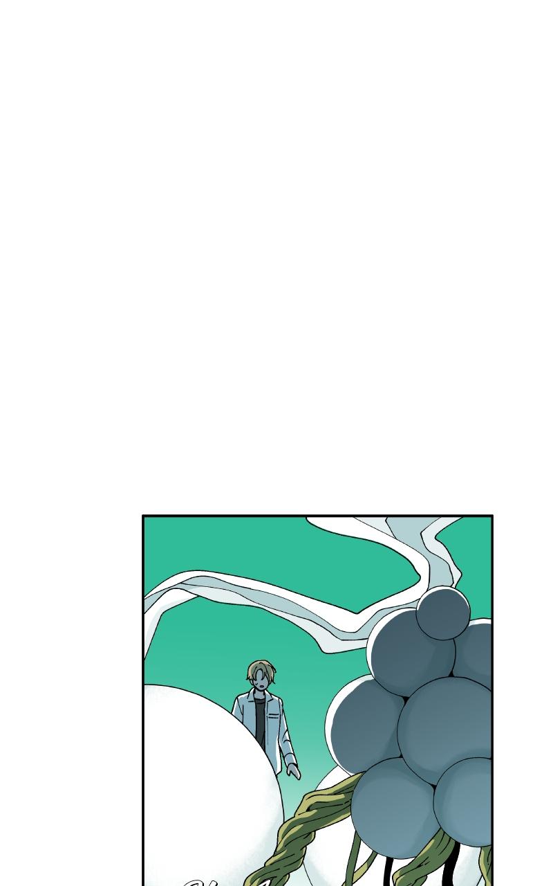 False Paradise Chap 2 - Next Chap 3