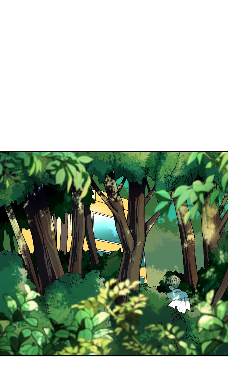 False Paradise Chap 3 - Next Chap 4