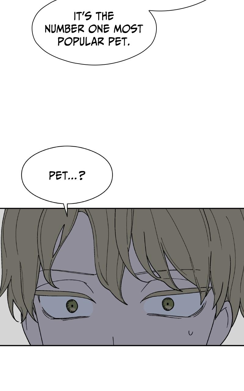 False Paradise Chap 3 - Next Chap 4