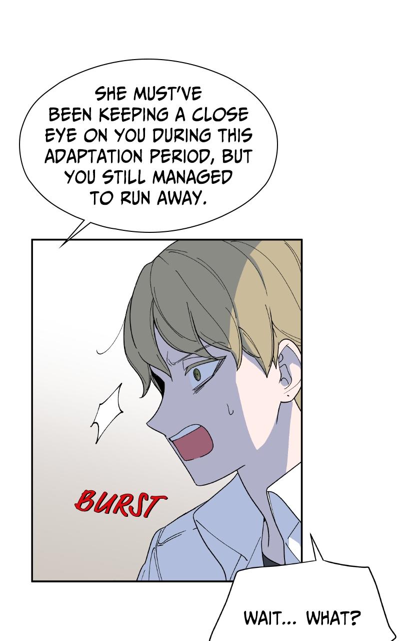 False Paradise Chap 3 - Next Chap 4