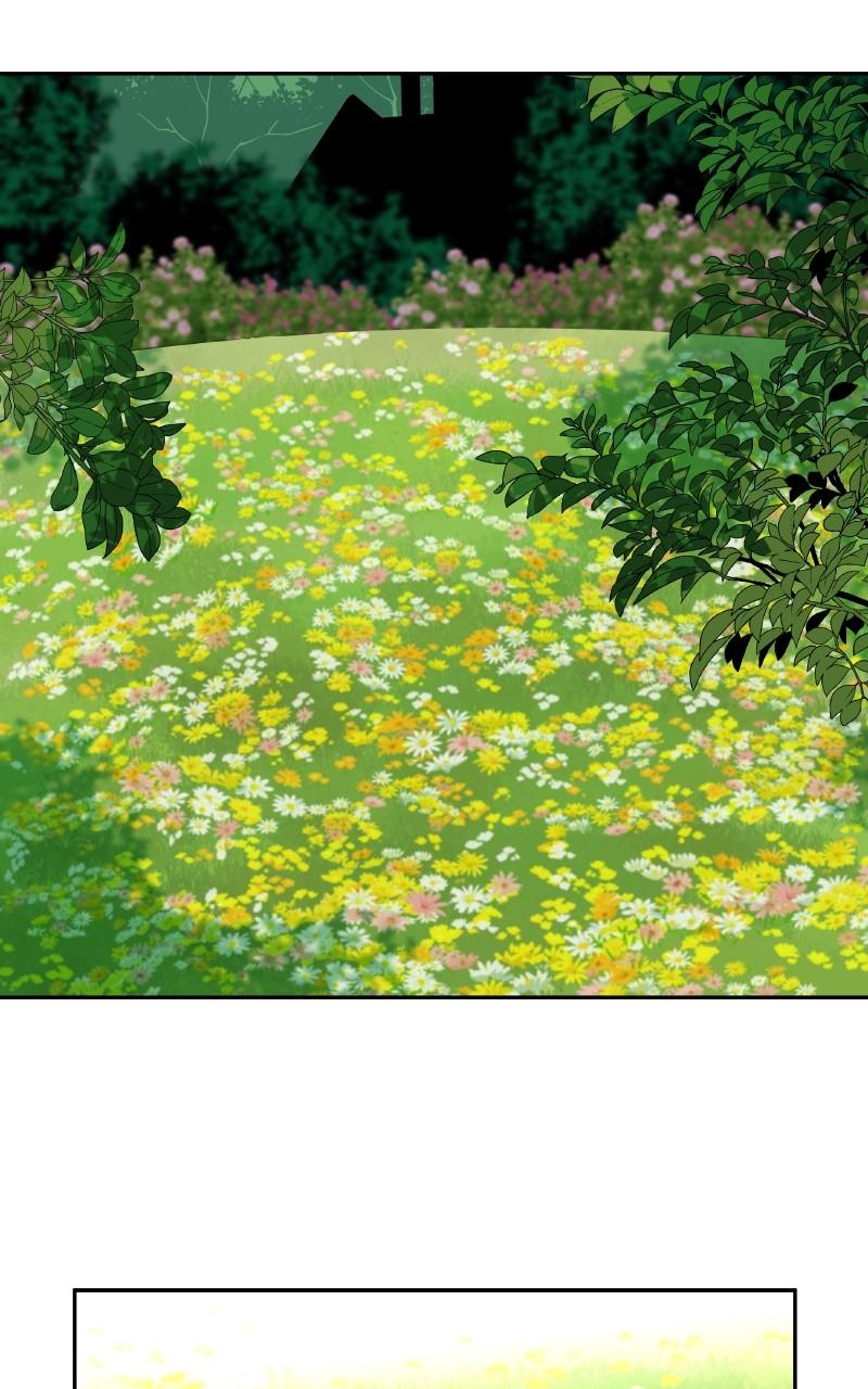 False Paradise Chap 18 - Next Chap 19