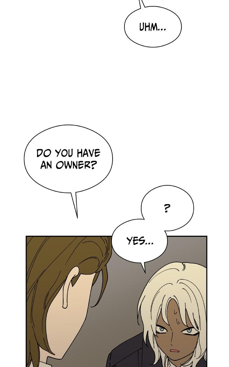 False Paradise Chap 39 - Next Chap 40