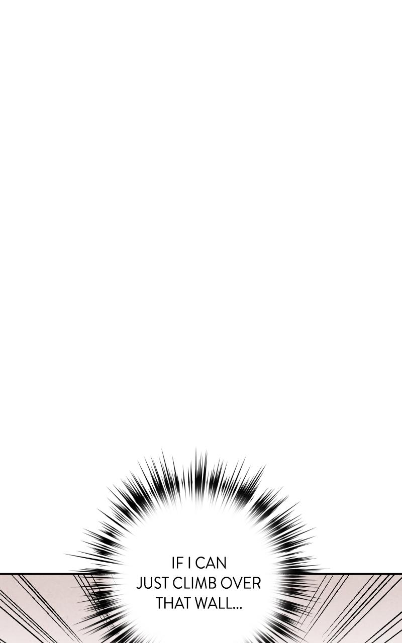 The Forbidden Marriage Chap 3 - Next Chap 4