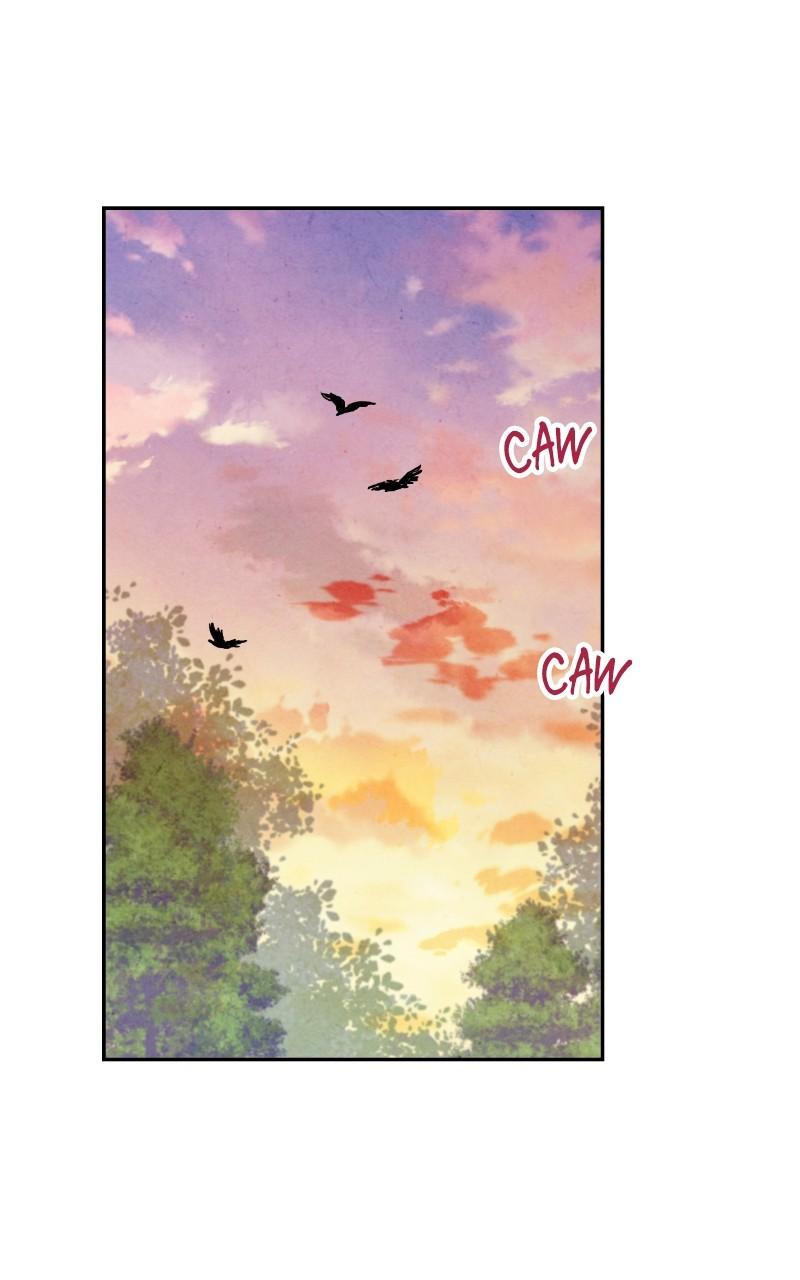 The Forbidden Marriage Chap 23 - Next Chap 24