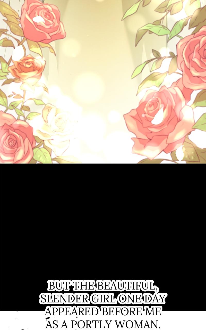 Absolute Regression Chap 3 - Next Chap 4