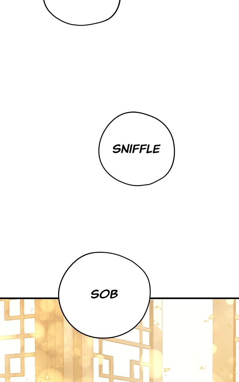 Absolute Regression Chap 31 - Next Chap 32