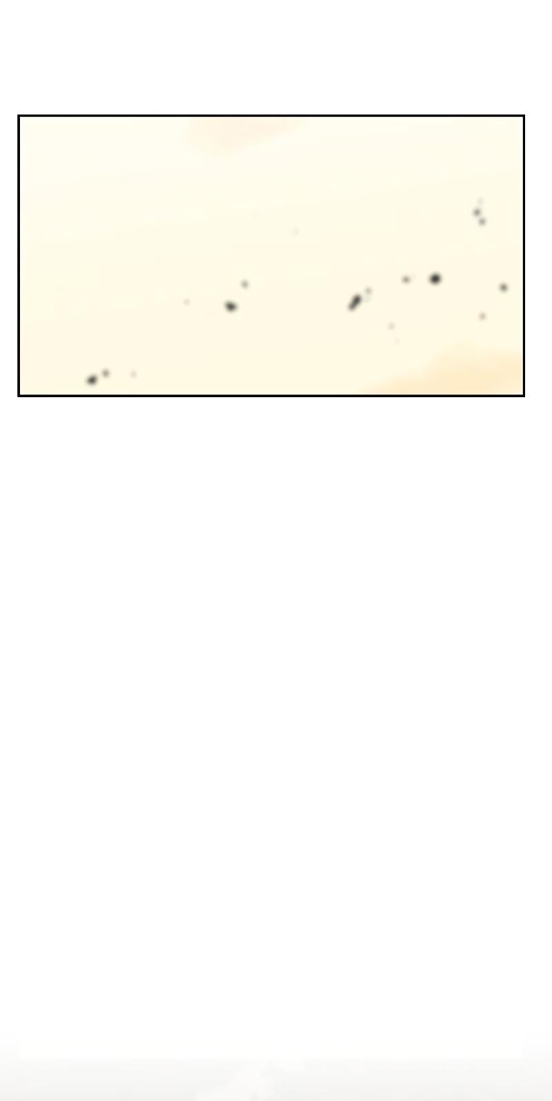 Martial Wild West Chap 19 - Next Chap 20