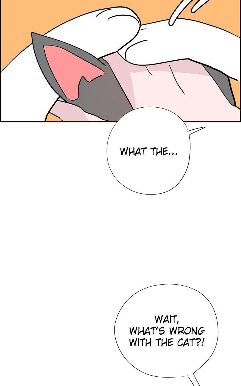 Copy-Paste Romance Chap 22 - Next Chap 23