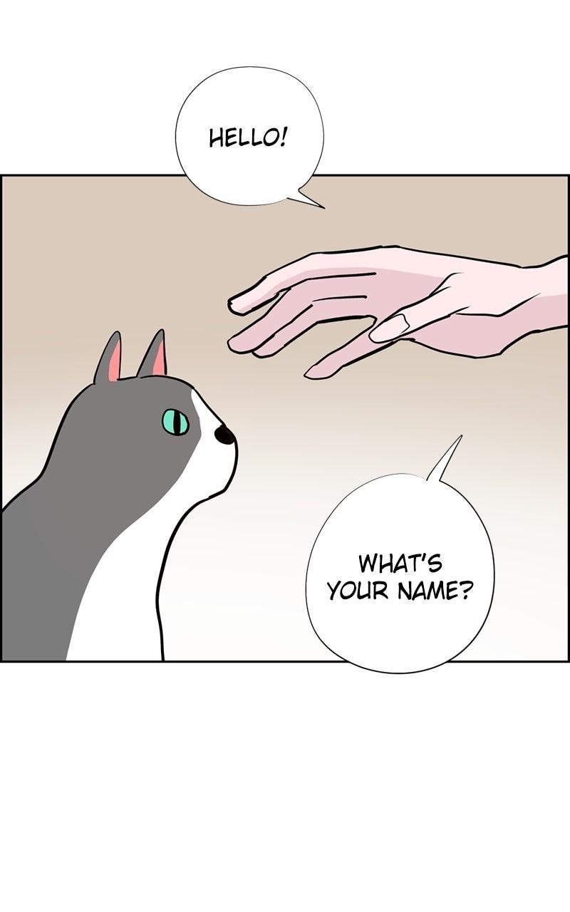 Copy-Paste Romance Chap 22 - Next Chap 23