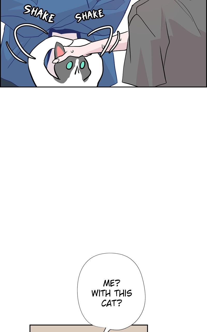 Copy-Paste Romance Chap 22 - Next Chap 23