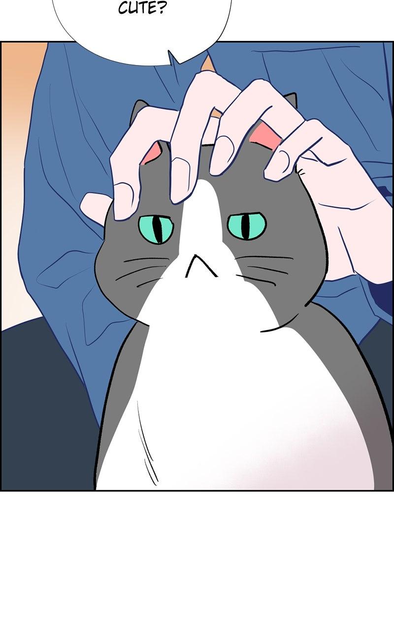 Copy-Paste Romance Chap 22 - Next Chap 23