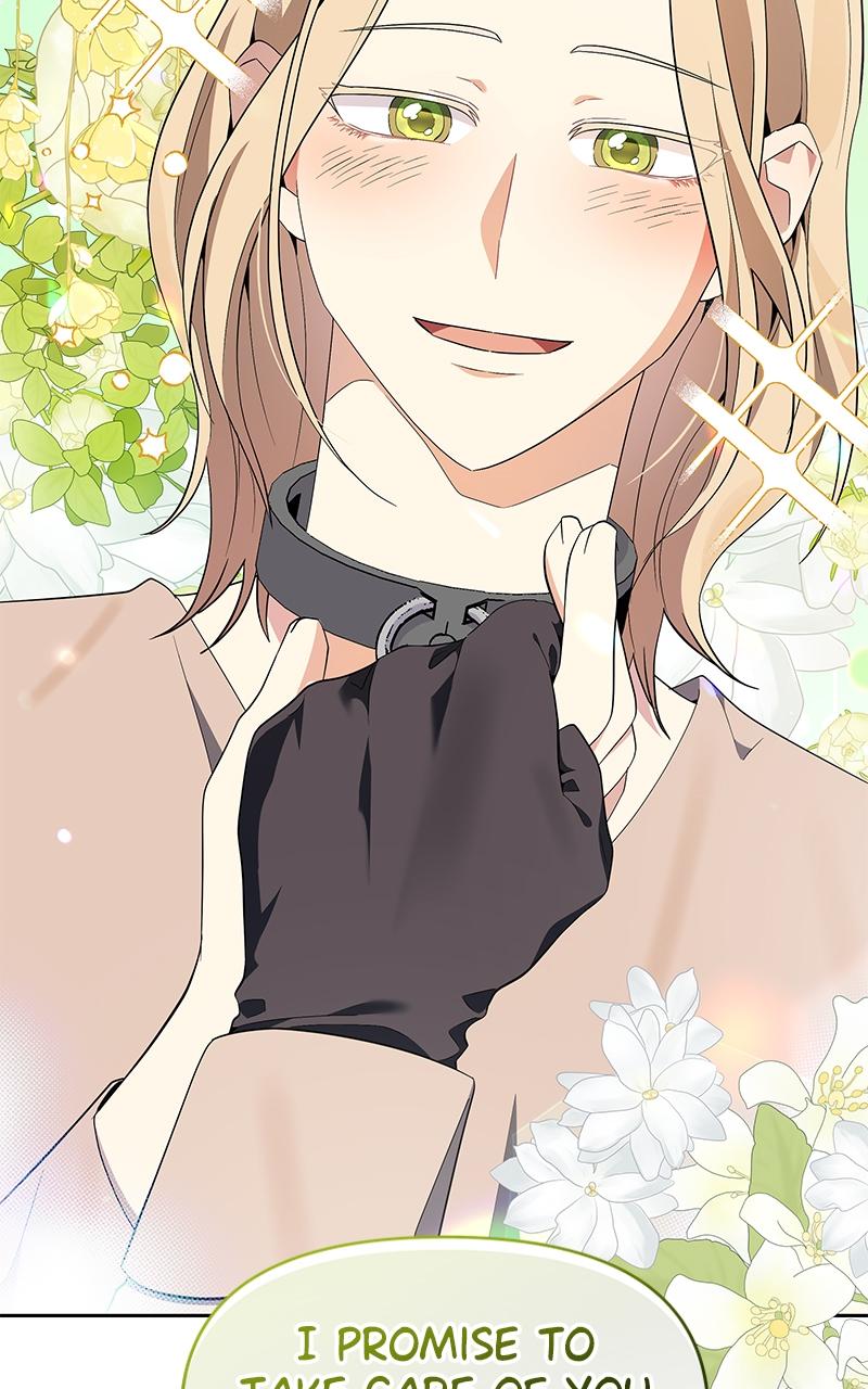 The Villainess Is Bothered By Male Leads Chap 5 - Next Chap 6