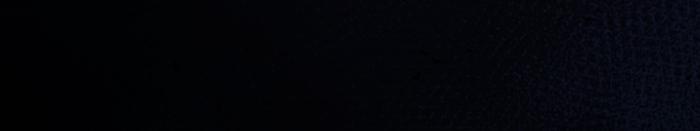 The Spy Life in the Demonic Sect Chap 1 - Next Chap 2