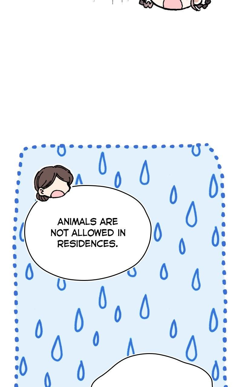 I Raised a Villain Chap 11 - Next Chap 12