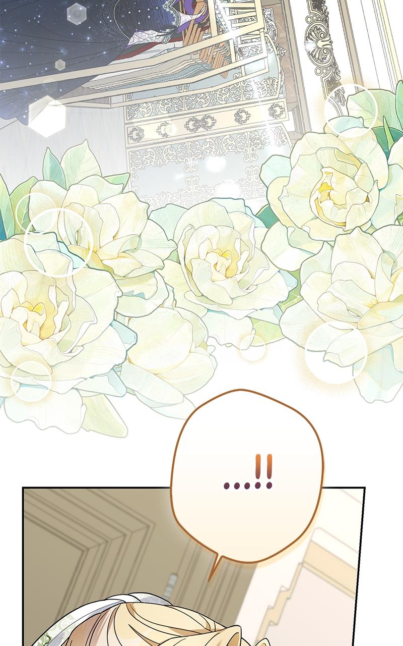 Indulgence Chap 12 - Next Chap 13