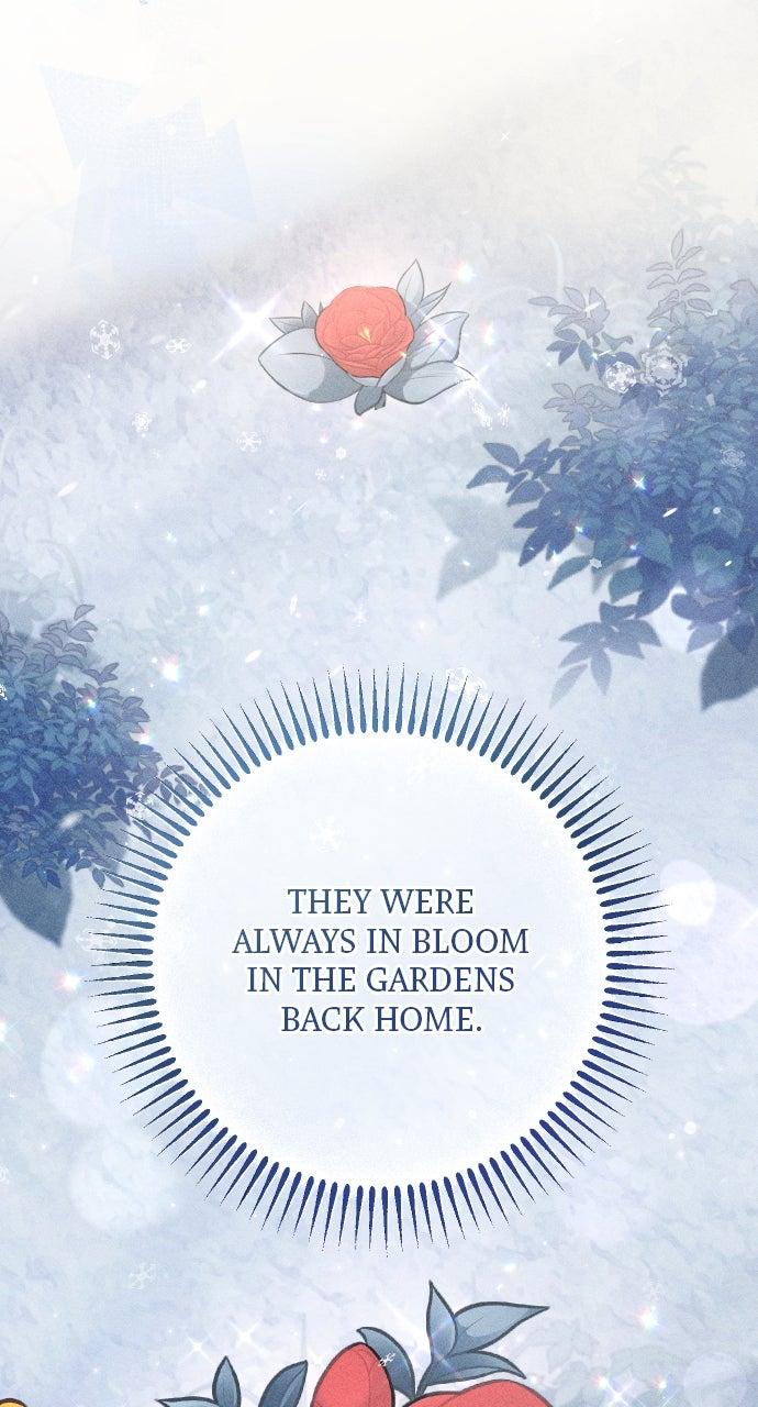 Dare I Hope Chap 5 - Next Chap 6