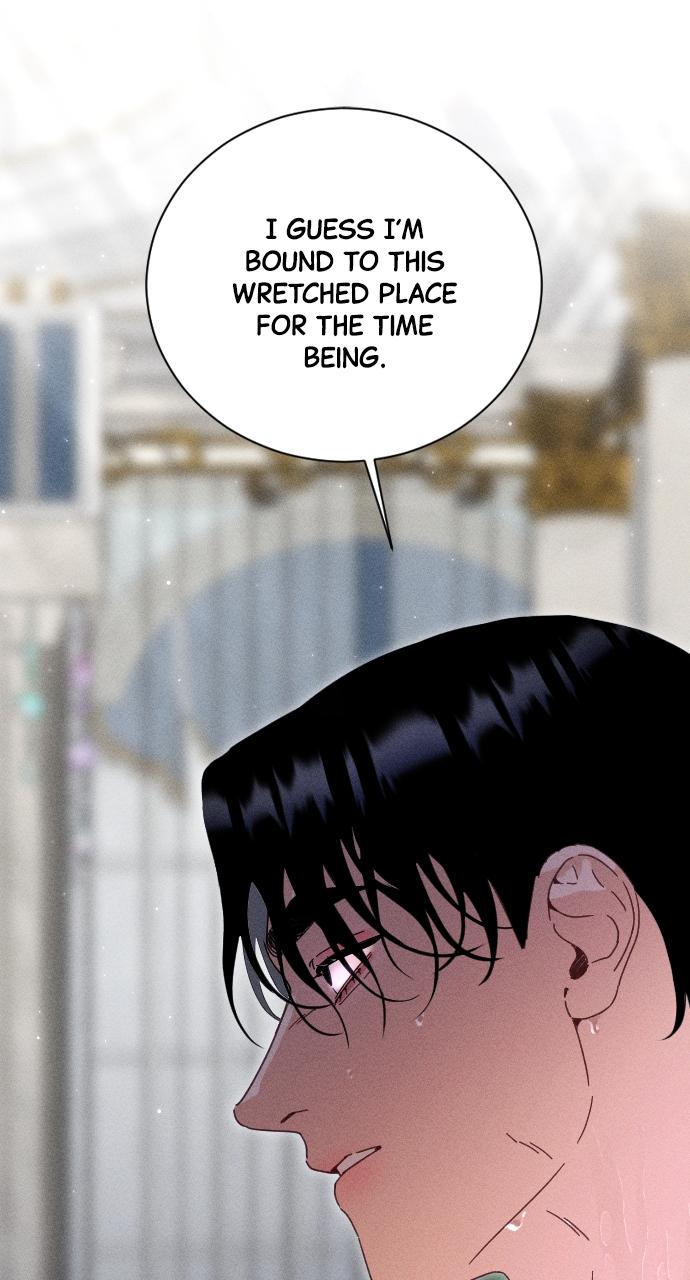 Dare I Hope Chap 1 - Next Chap 2