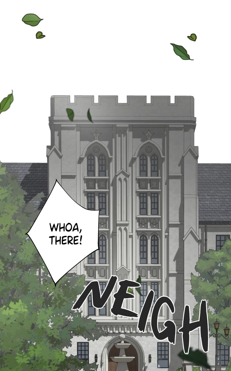 Mr. Delivery Knight Chap 2 - Next Chap 3