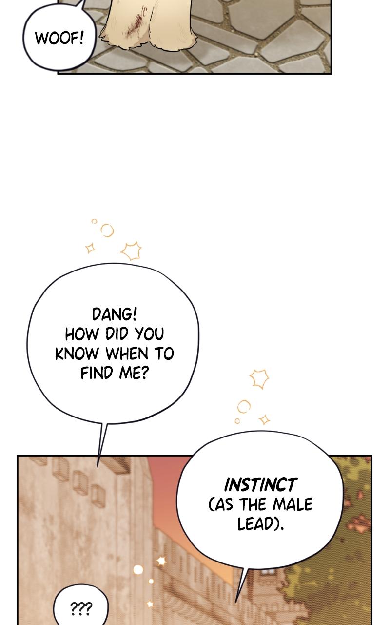 Mr. Delivery Knight Chap 17 - Next Chap 18