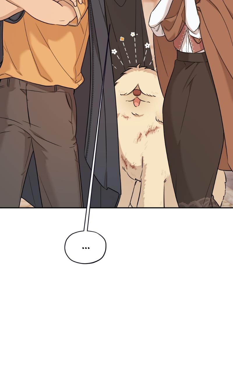 Mr. Delivery Knight Chap 17 - Next Chap 18