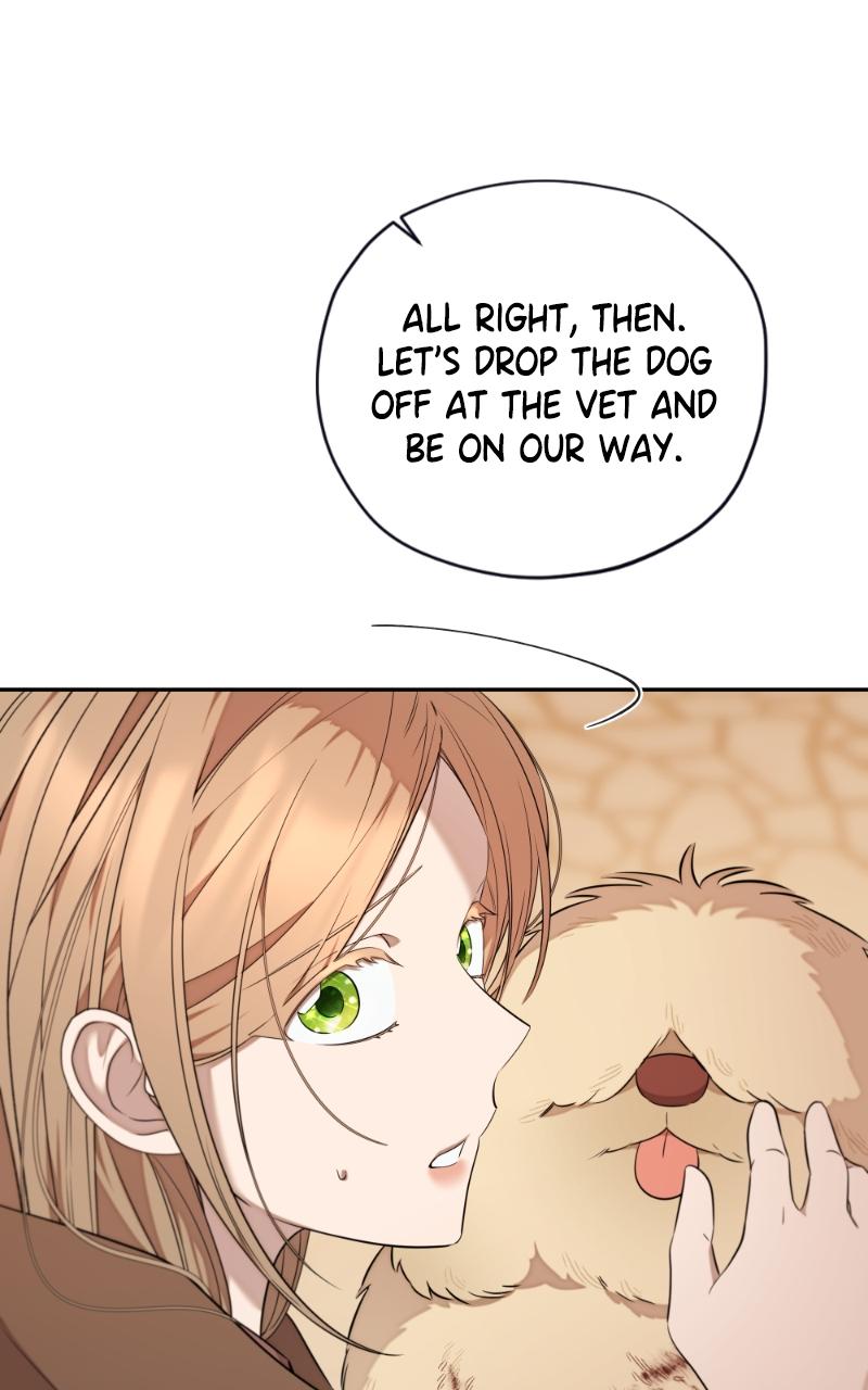 Mr. Delivery Knight Chap 17 - Next Chap 18