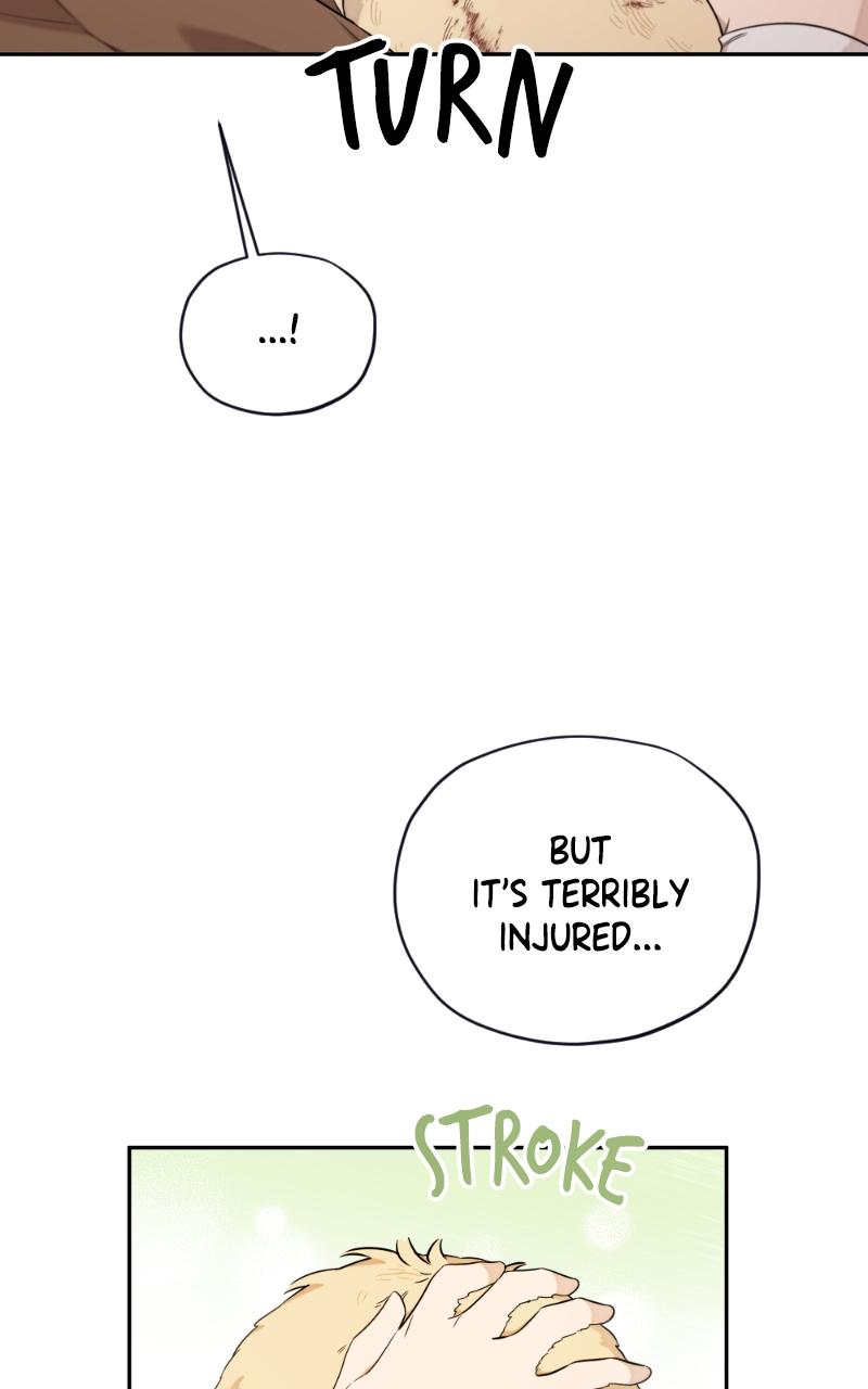 Mr. Delivery Knight Chap 17 - Next Chap 18