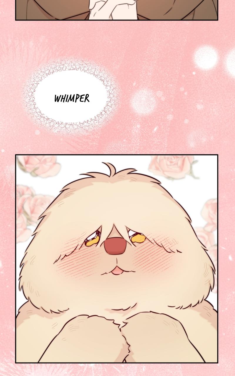Mr. Delivery Knight Chap 17 - Next Chap 18