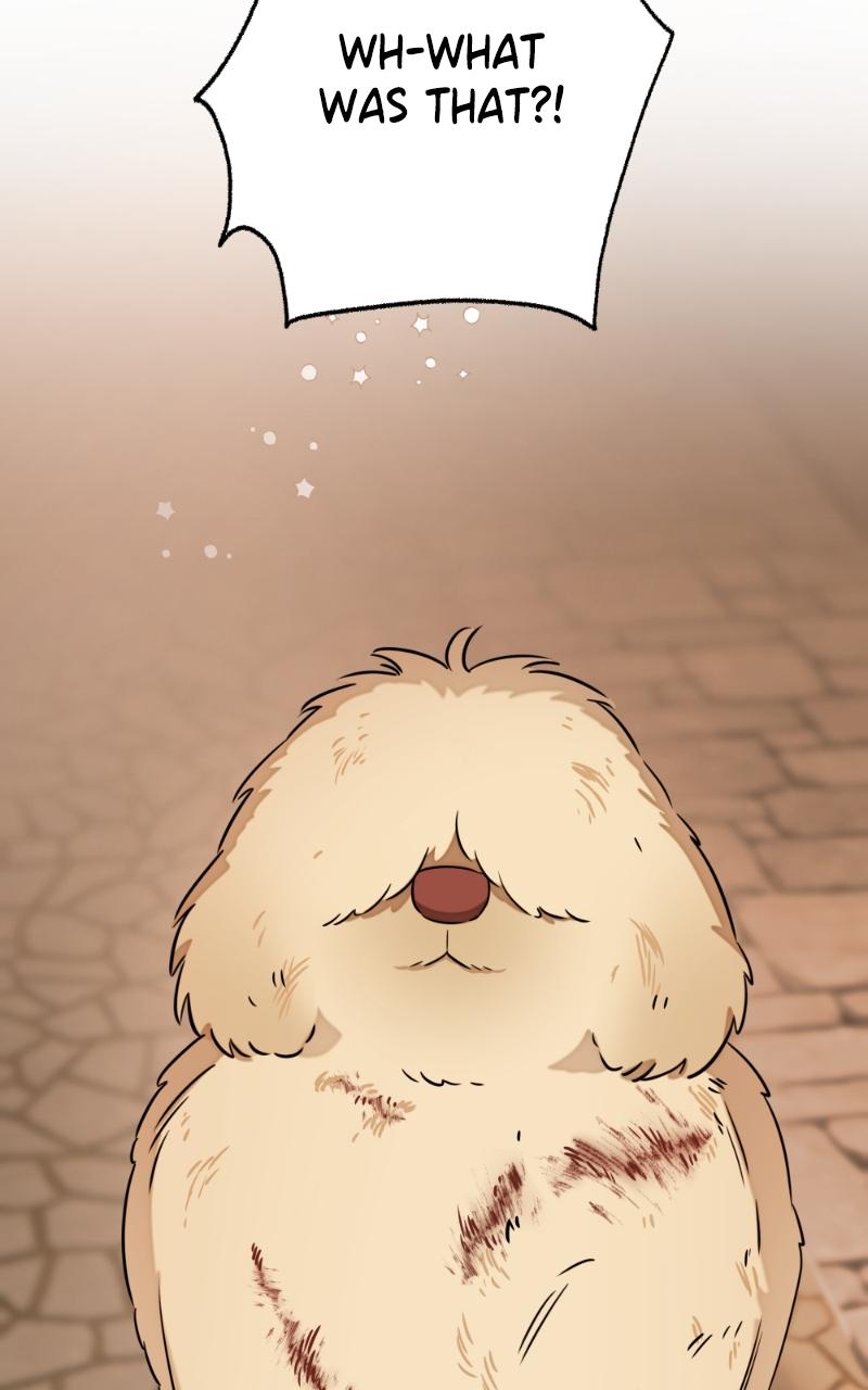 Mr. Delivery Knight Chap 17 - Next Chap 18