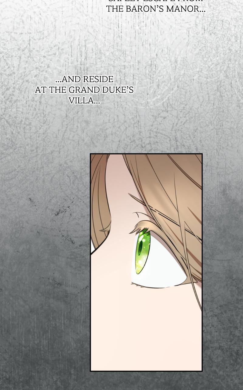 Mr. Delivery Knight Chap 15 - Next Chap 16