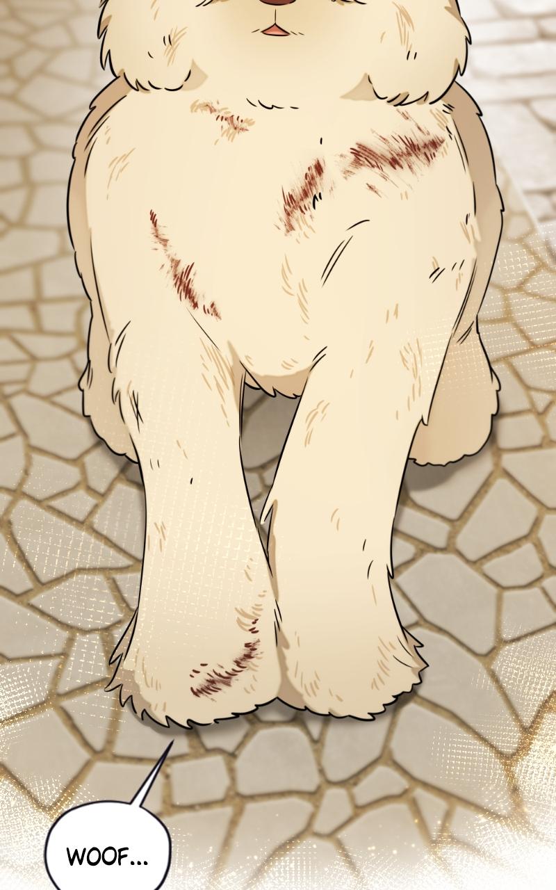 Mr. Delivery Knight Chap 16 - Next Chap 17