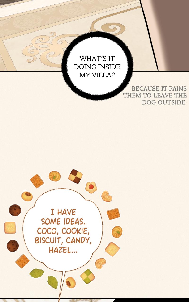 Mr. Delivery Knight Chap 18 - Next Chap 19