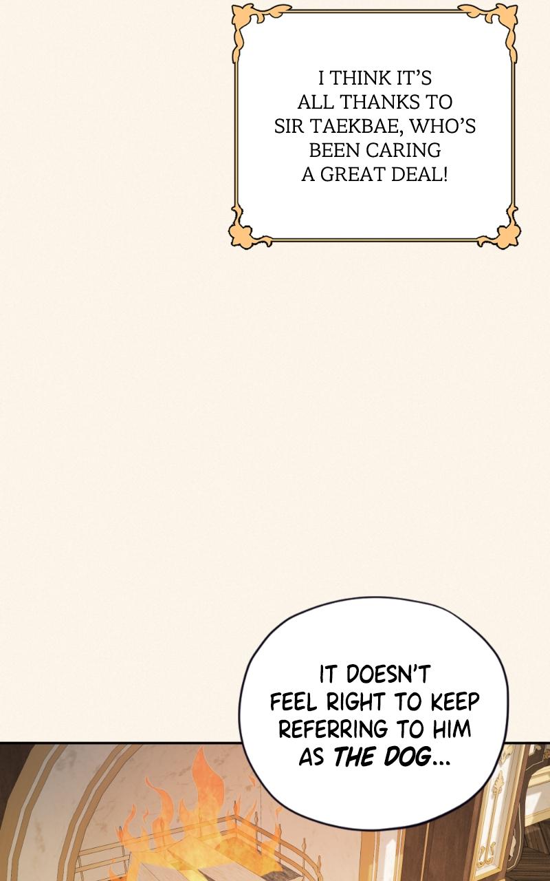 Mr. Delivery Knight Chap 18 - Next Chap 19