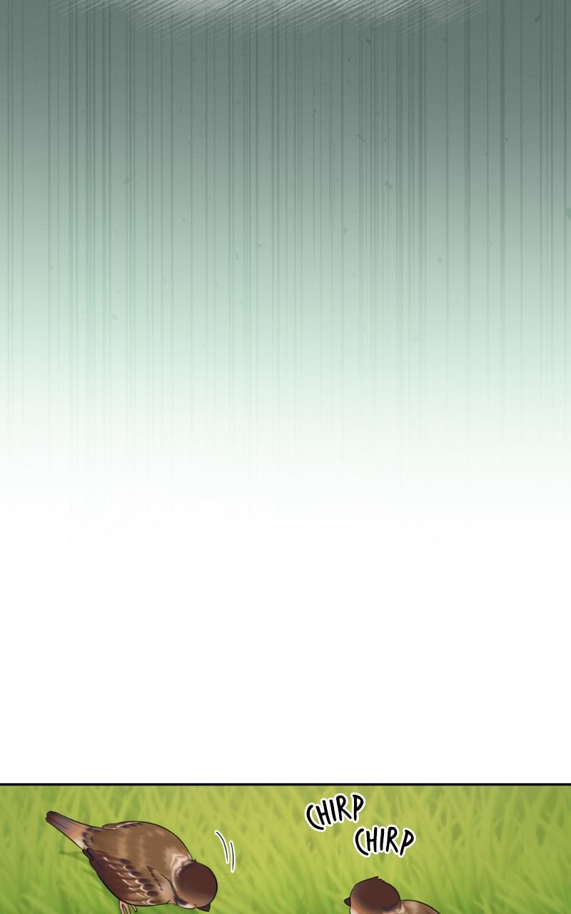 Mr. Delivery Knight Chap 11 - Next Chap 12