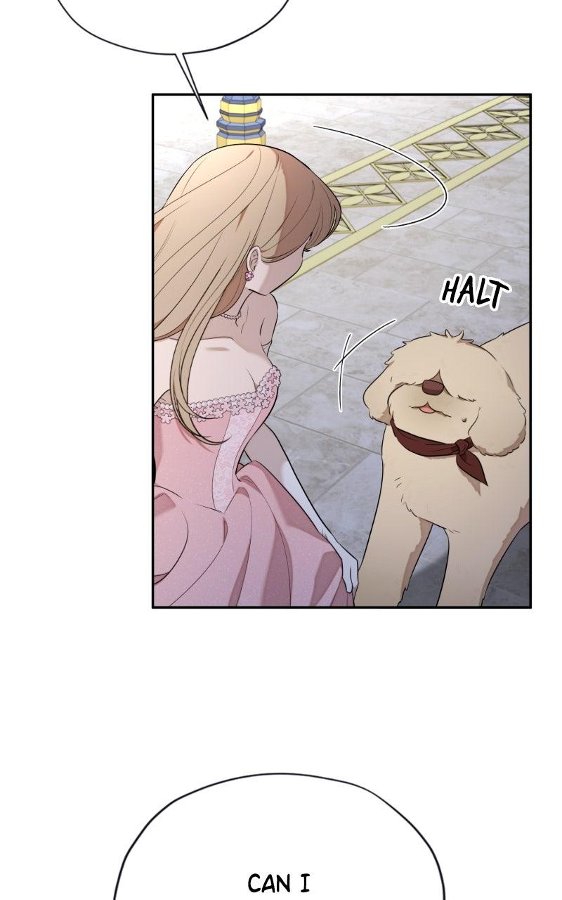 Mr. Delivery Knight Chap 27 - Next Chap 28